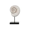 Shell Sculpture on Stand