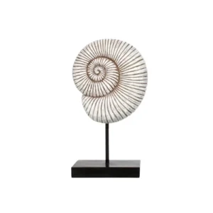 Shell Sculpture on Stand